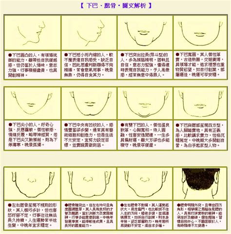 天生雙下巴面相|面相大全——下巴